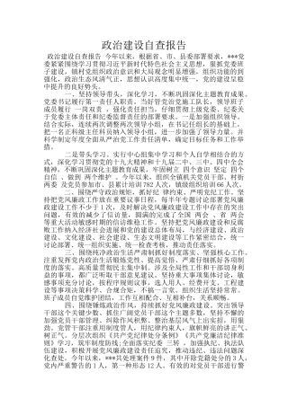 政治建设自查报告