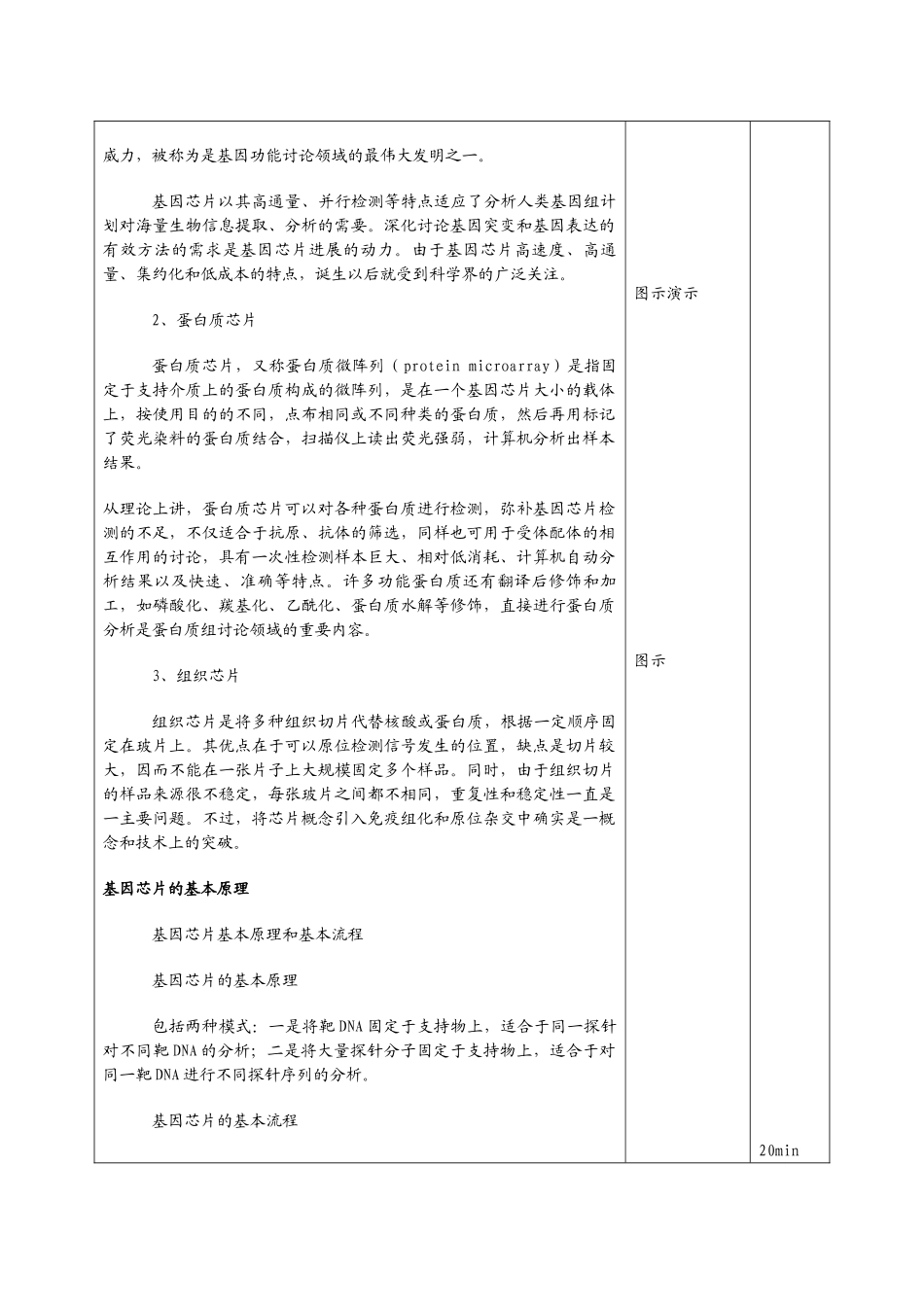 教案生物芯片_第3页