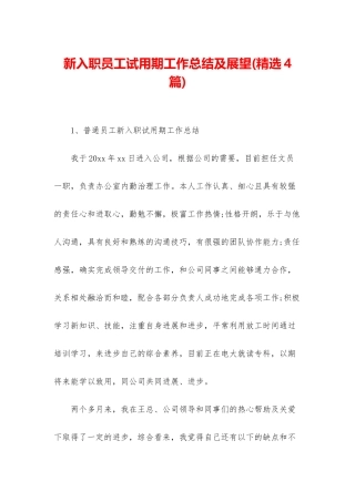 新入职员工试用期工作总结及展望