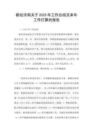 新经济局关于2025年工作总结及来年工作打算的报告