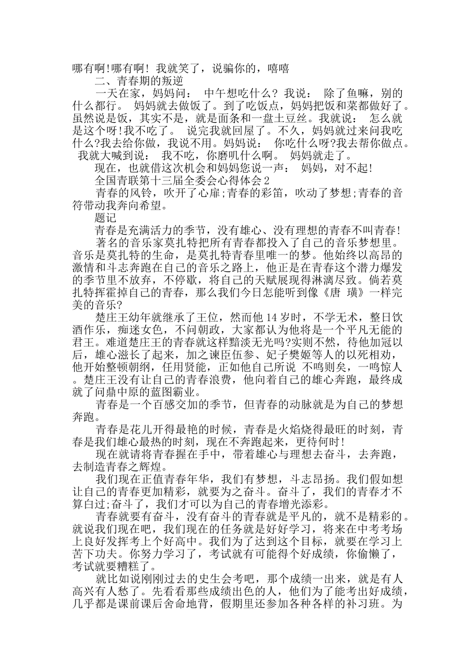 最新青联十三届全委会心得感悟精选_第3页