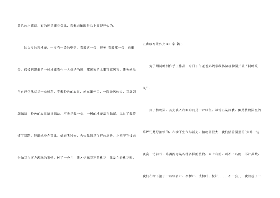 有关五年级写景300字4篇_第3页