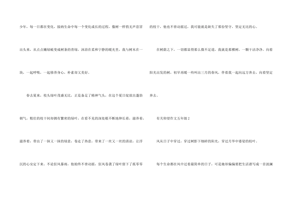 有关仰望五年级_第2页