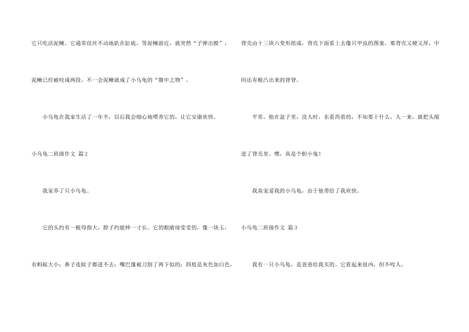 有关小乌龟二年级合集6篇_第2页