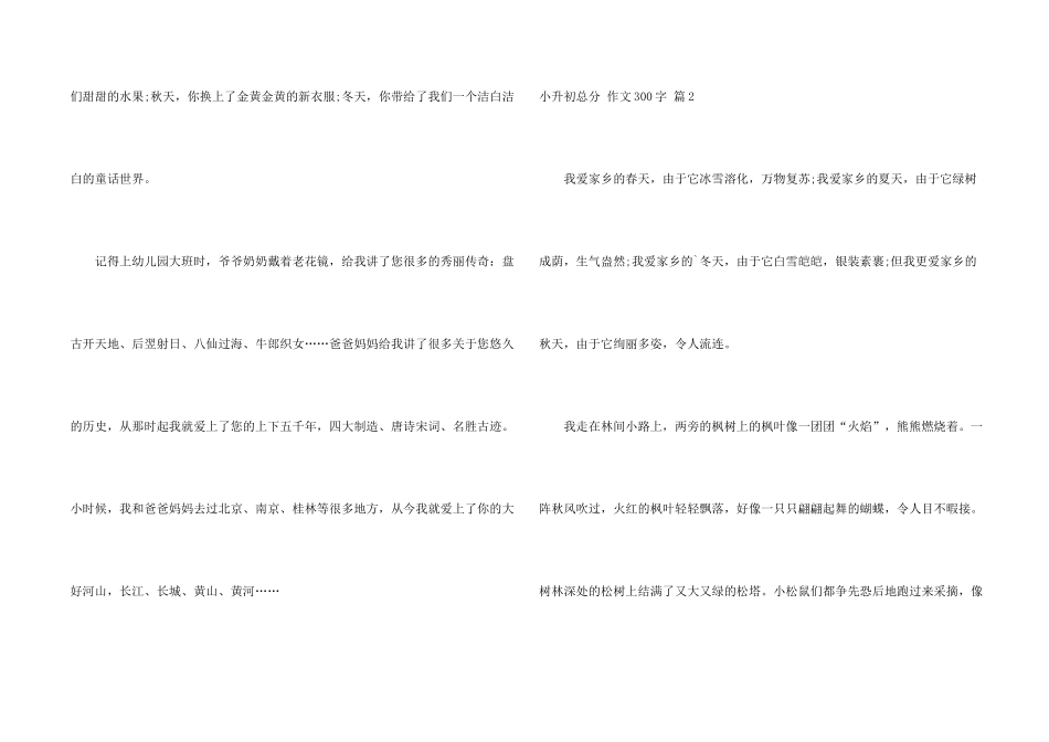 有关小升初满分300字七篇_第2页