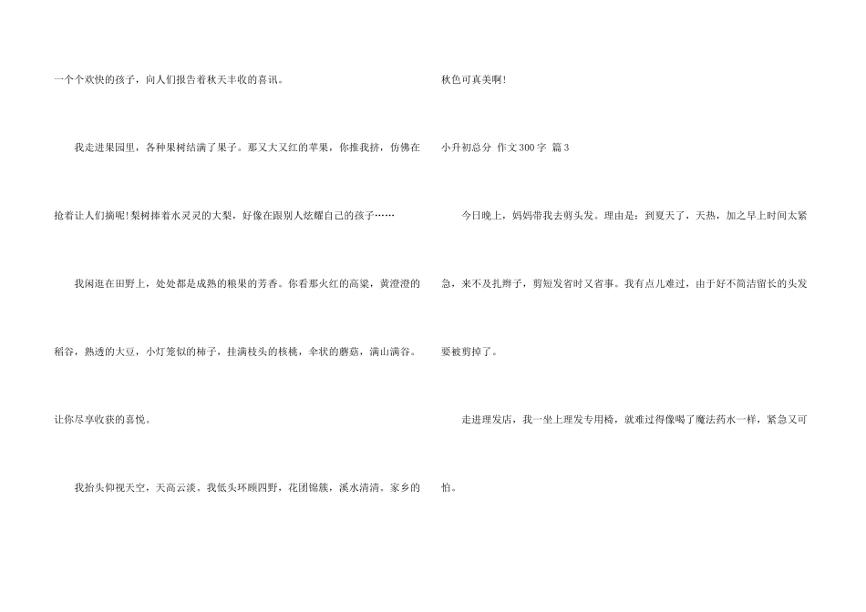 有关小升初满分300字七篇_第3页