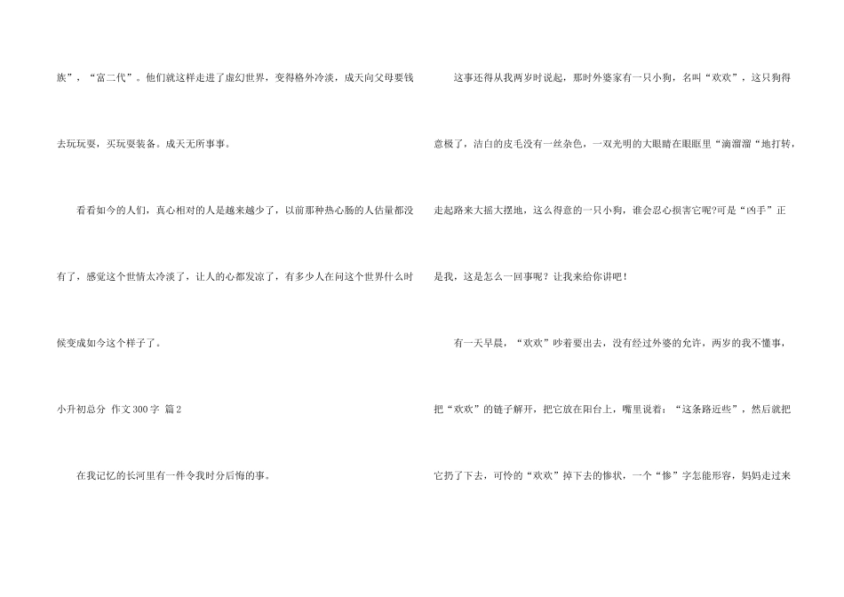 有关小升初满分300字汇总九篇_第2页