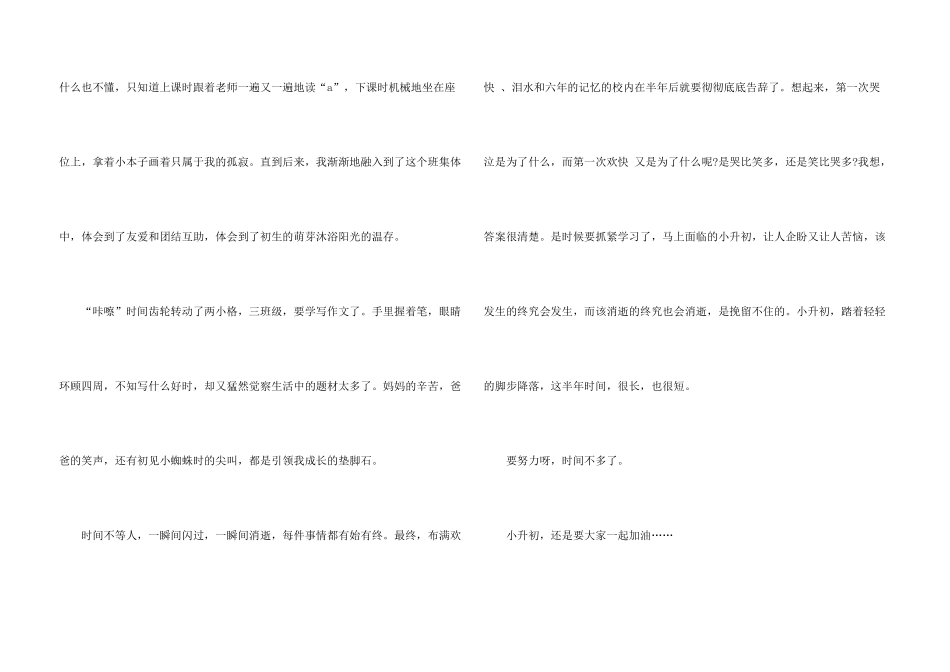 有关小升初满分400字5篇_第3页