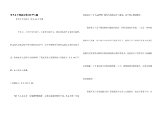 有关小升初满分400字5篇