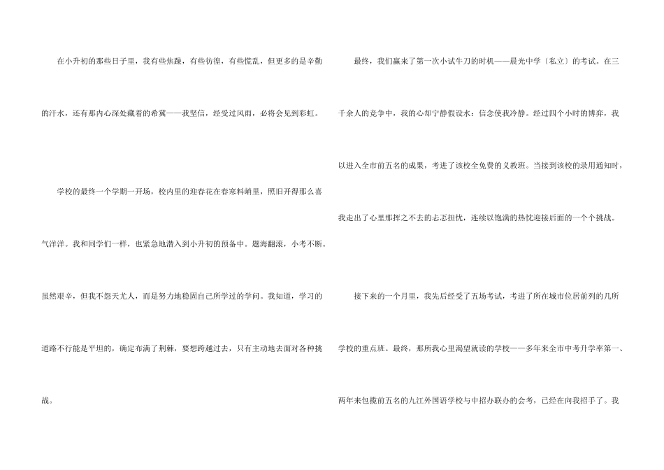 有关小升初满分集锦六篇_第3页
