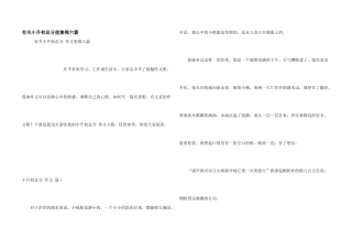 有关小升初满分集锦六篇