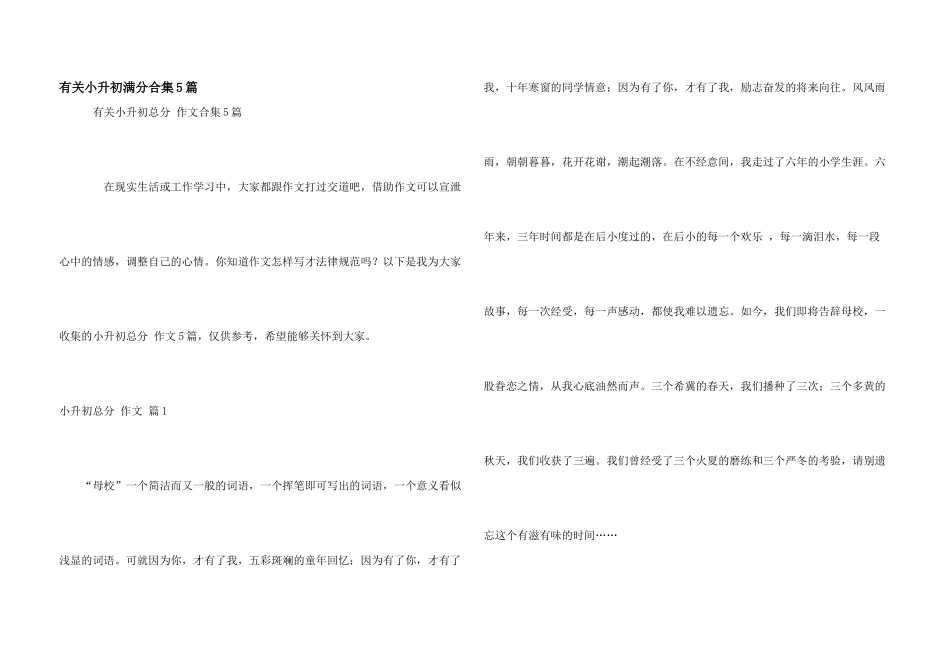 有关小升初满分合集5篇_第1页