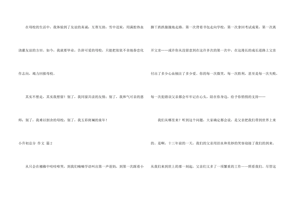 有关小升初满分合集5篇_第3页