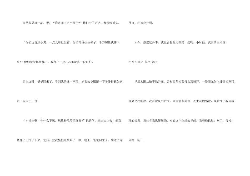 有关小升初满分集锦7篇_第2页