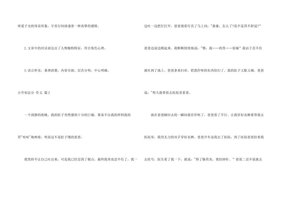 有关小升初满分集锦5篇_第3页