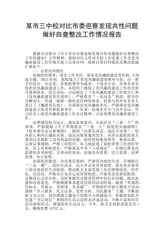 某市三中校对照市委巡察发现共性问题做好自查整改工作情况报告
