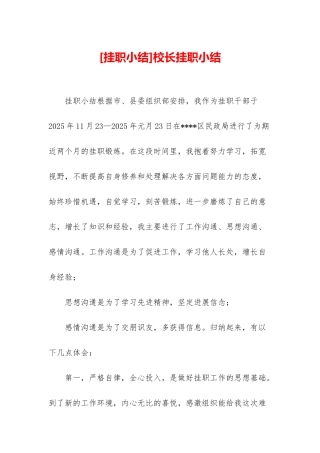 校长挂职小结