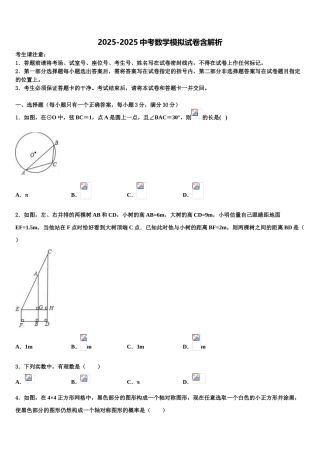 株洲市重点中学中考猜题数学试卷含解析