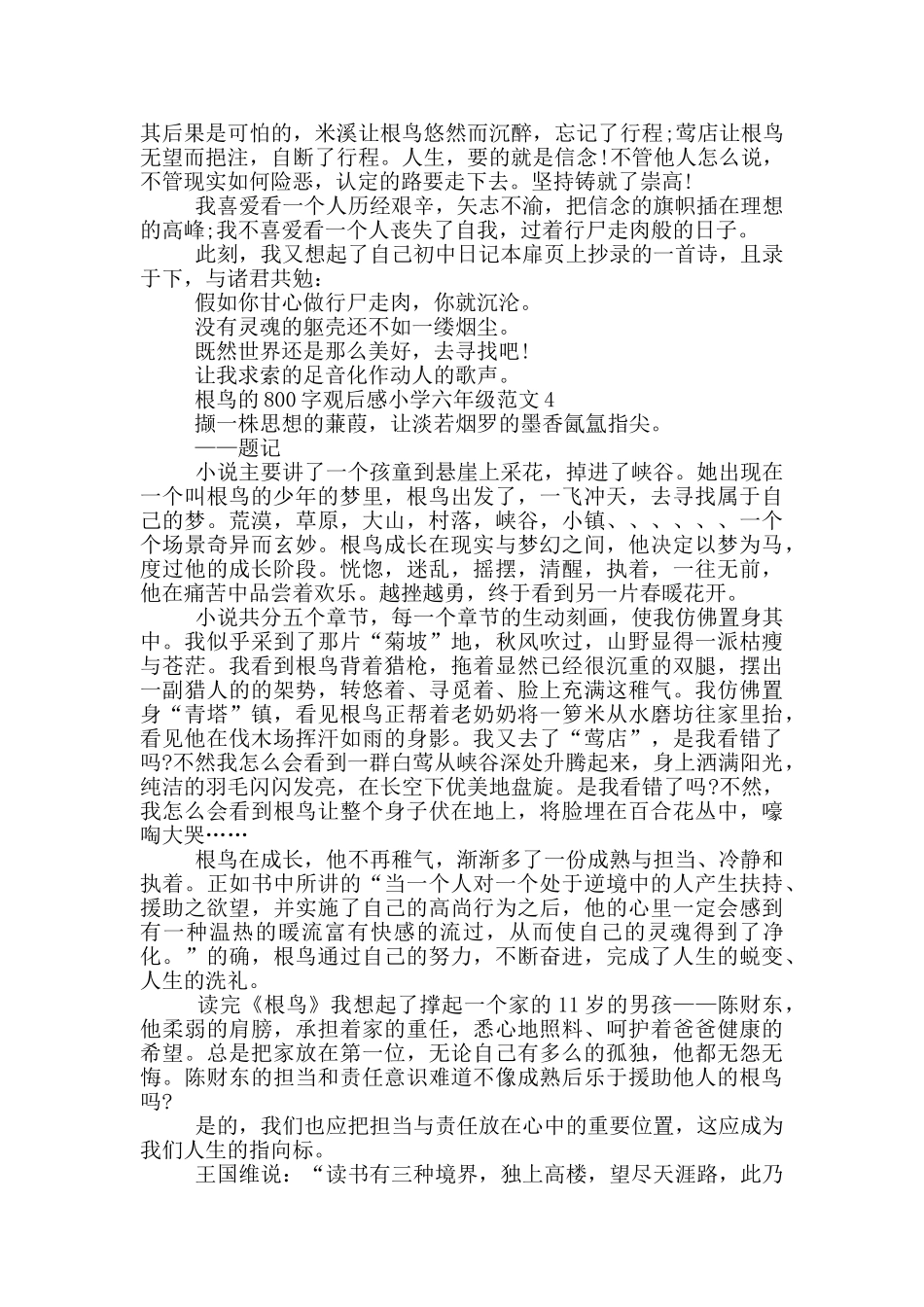 根鸟800字观后感小学六年级最新范文_第3页