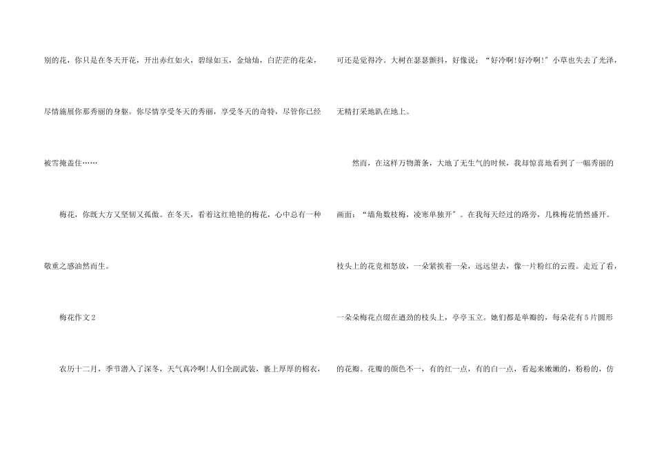 梅花赞五年级_第2页