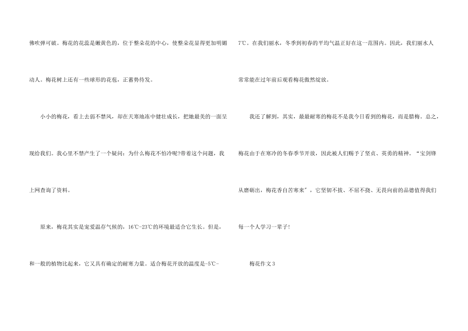 梅花赞五年级_第3页
