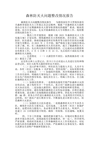 森林防灭火问题整改情况报告
