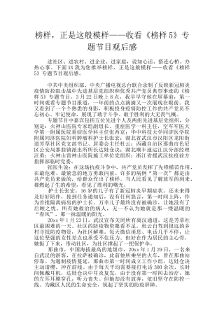 榜样-正是这般模样——收看《榜样5》专题节目观后感