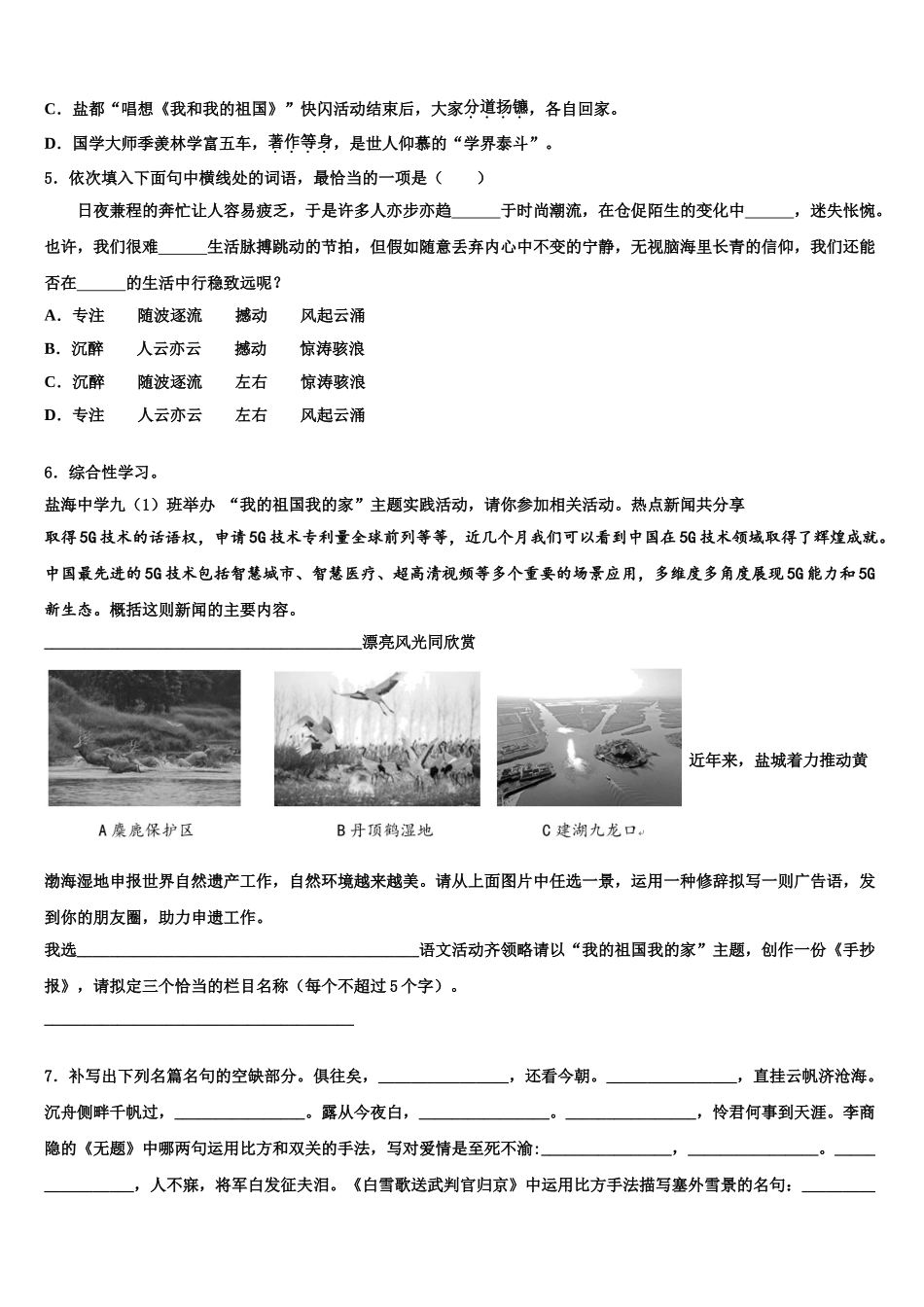 武汉市第二初级中学中考语文全真模拟试题含解析_第2页