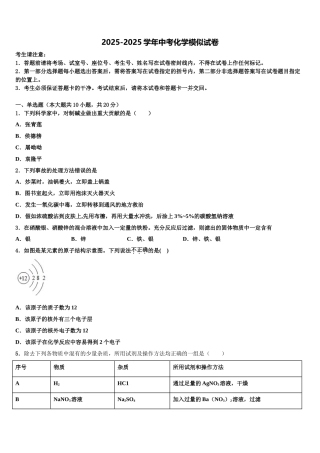 武汉市青山区重点名校中考化学模拟精编试卷含解析