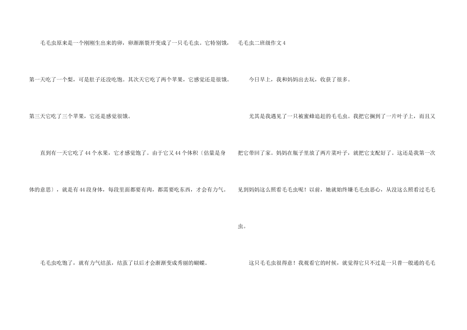 毛毛虫二年级_第3页