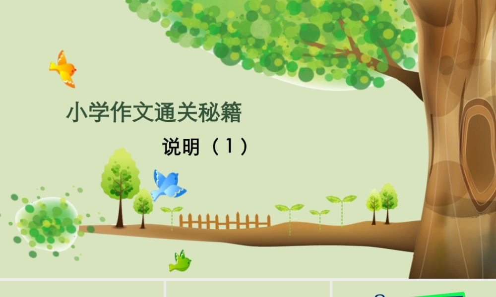 小学作文通关秘籍（35讲）-说明1 课件