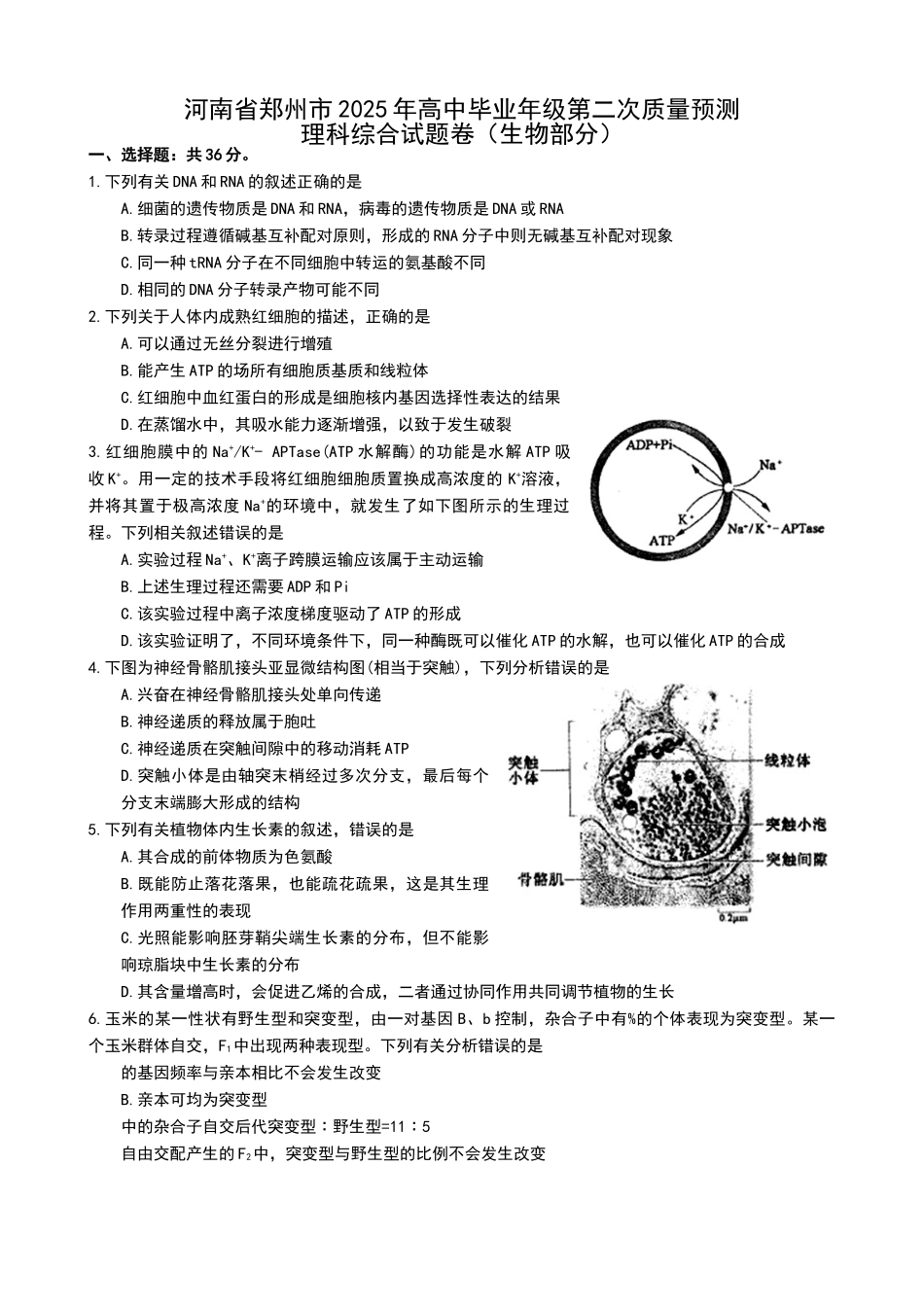 河南省郑州市2025年高中毕业年级第二次质量预测理科综合生物部分_第1页