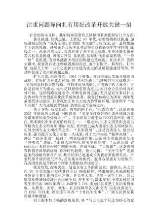 注重问题导向扎实用好改革开放关键一招