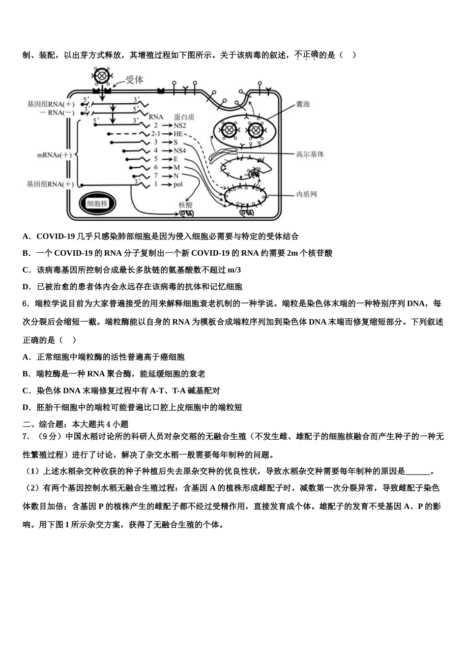 泰安市重点中学高三3月份模拟考试生物试题含解析_第2页