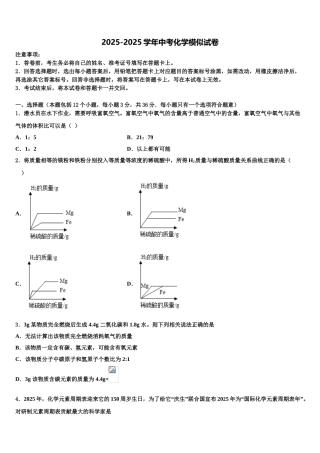 济南市重点中学中考适应性考试化学试题含解析