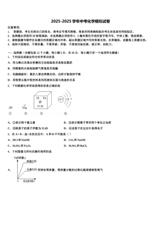 海南省三亚市名校中考化学考试模拟冲刺卷含解析