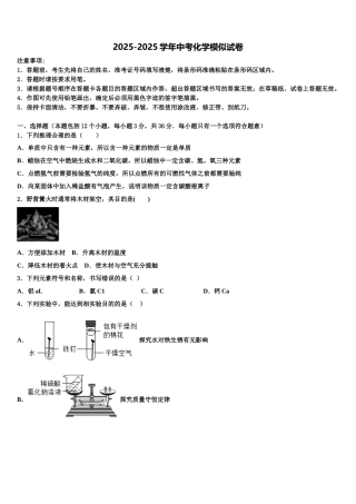 海南省临高县中考三模化学试题含解析