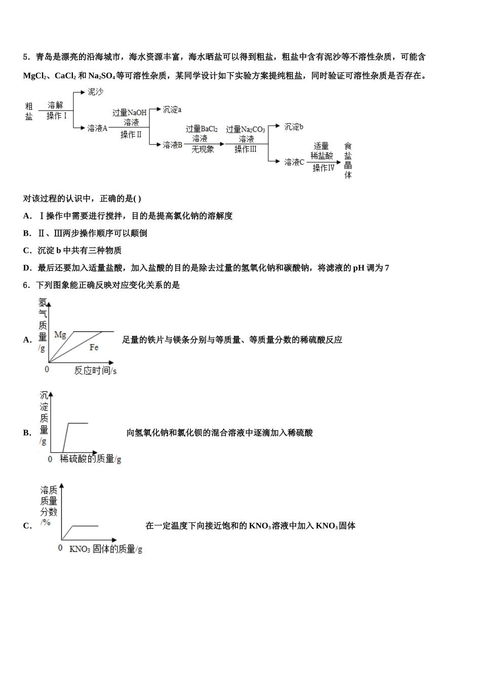 海南省儋州市中考化学对点突破模拟试卷含解析_第2页