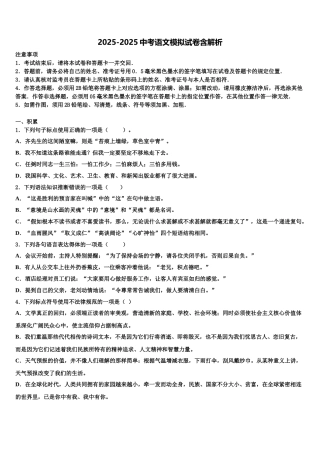 海南省文昌市中考三模语文试题含解析