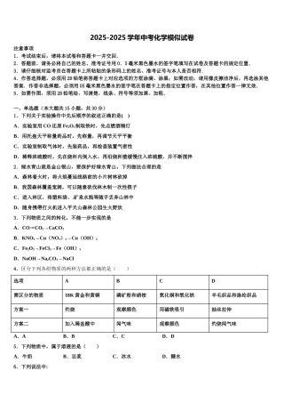 海南省海南中学中考一模化学试题含解析