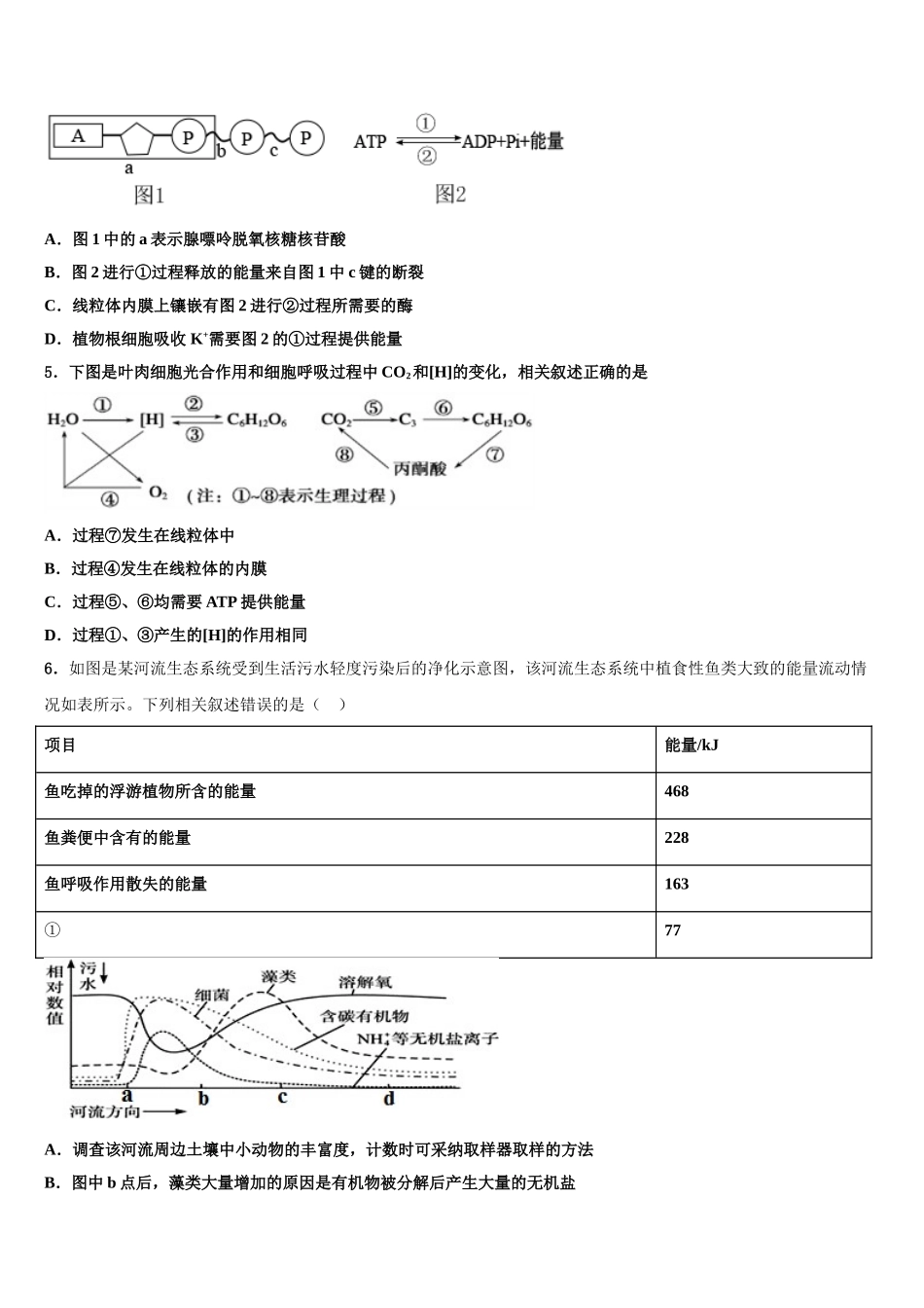 海南省海口市琼山区海南中学高三第五次模拟考试生物试卷含解析_第2页