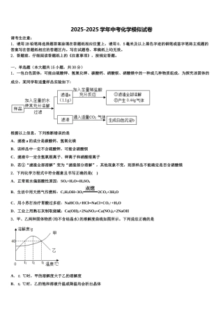 海南省海口市琼山区长流实验校中考押题化学预测卷含解析