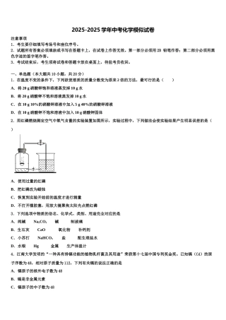 海南省省直辖县重点名校中考考前最后一卷化学试卷含解析