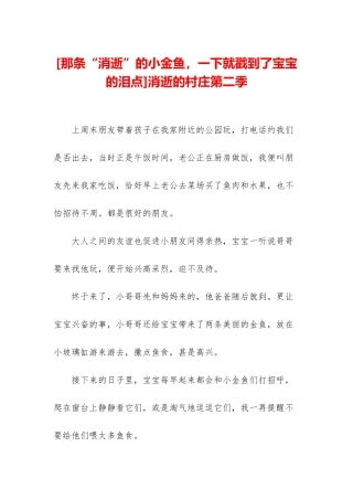 消失的村庄第二季
