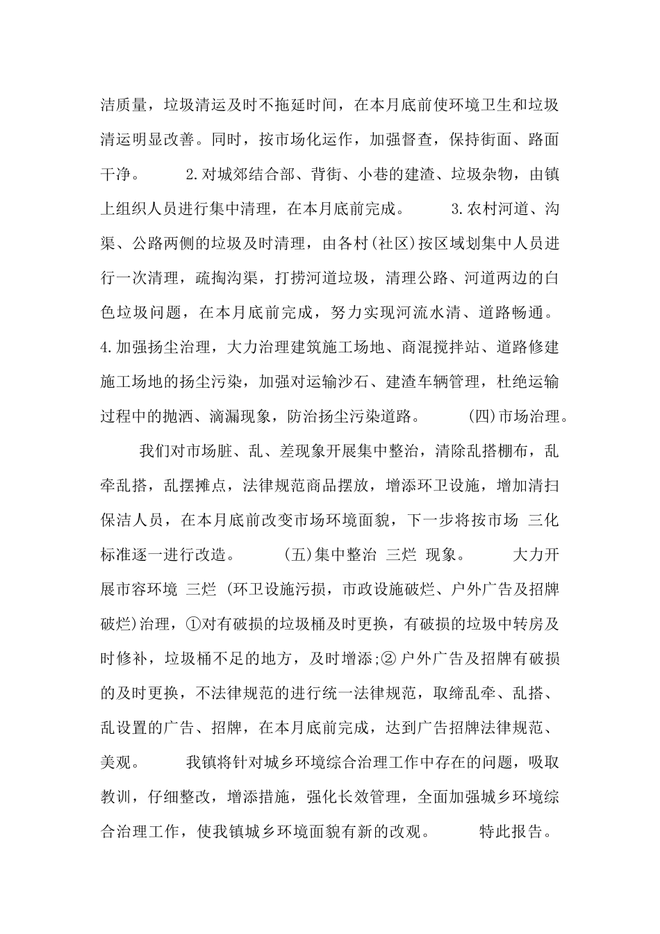 环境问题整治整改报告_第3页