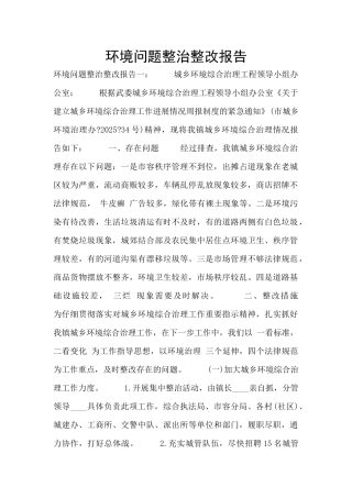 环境问题整治整改报告