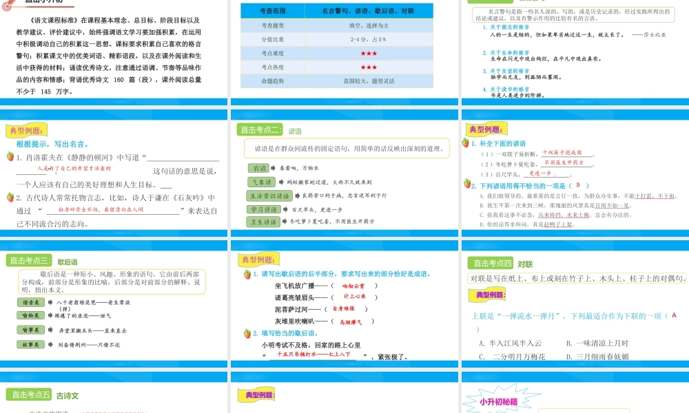 2025六年级小升初语文专题复习-第十讲  积累与运用 课件
