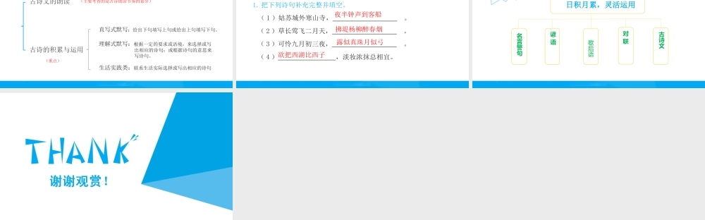 2025六年级小升初语文专题复习-第十讲  积累与运用 课件