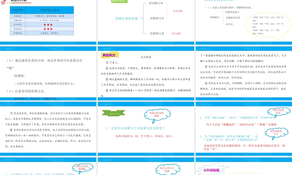 2025六年级小升初语文专题复习-第十六讲  状物文章阅读 课件