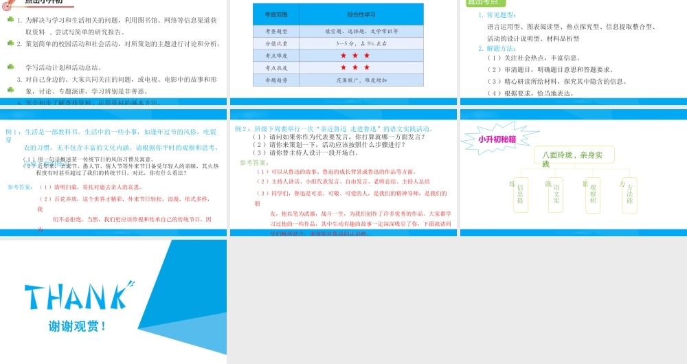 2025六年级小升初语文专题复习-第十三讲  综合性学习 课件